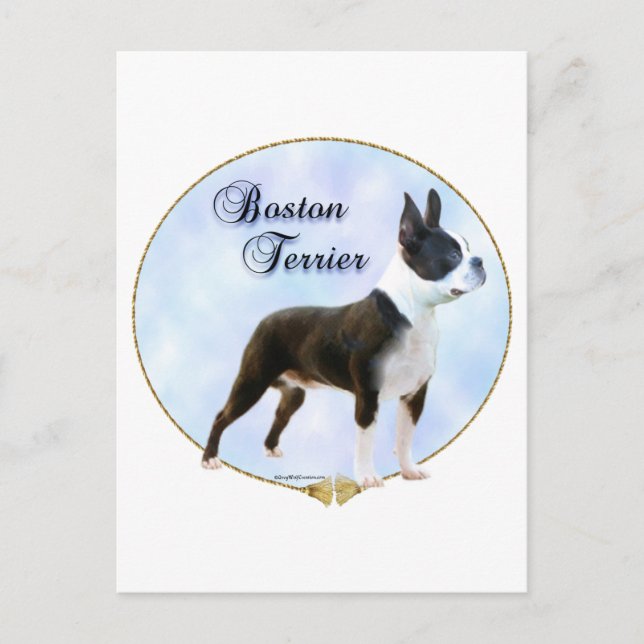 Boston Terrier Portrait Postkarte (Vorderseite)
