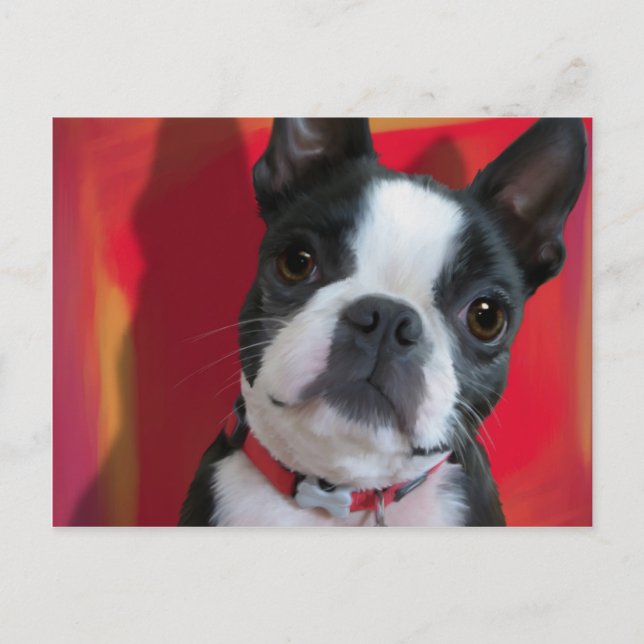 Boston Terrier Post Card Postkarte (Vorderseite)