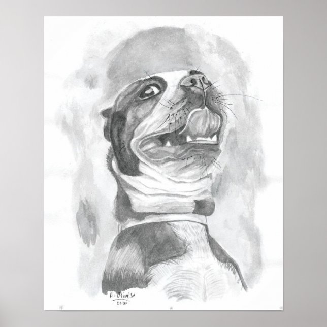 Boston Terrier Poster (Vorne)