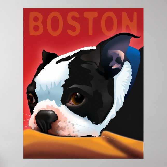 Boston Terrier Poster (Vorne)