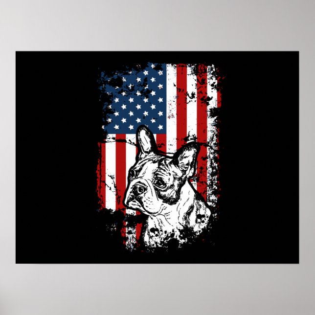 Boston Terrier Poster (Vorne)