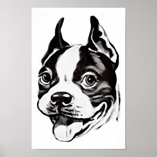 Boston Terrier Poster (Vorne)