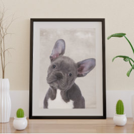 Boston Terrier Poster