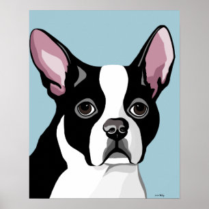 Boston Terrier Posters Poster