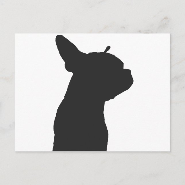 Boston Terrier Postkarte (Vorderseite)