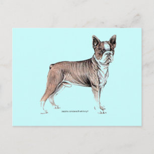 Boston Terrier Postkarte