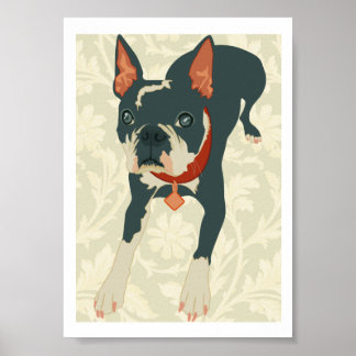 Boston Terrier Print Poster
