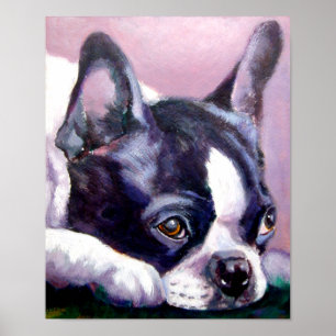 Boston Terrier Print Poster