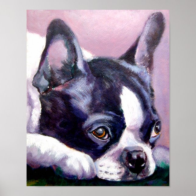 Boston Terrier Print Poster (Vorne)