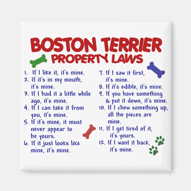 Boston Terrier Property Laws 2 Magnet (Vorne)
