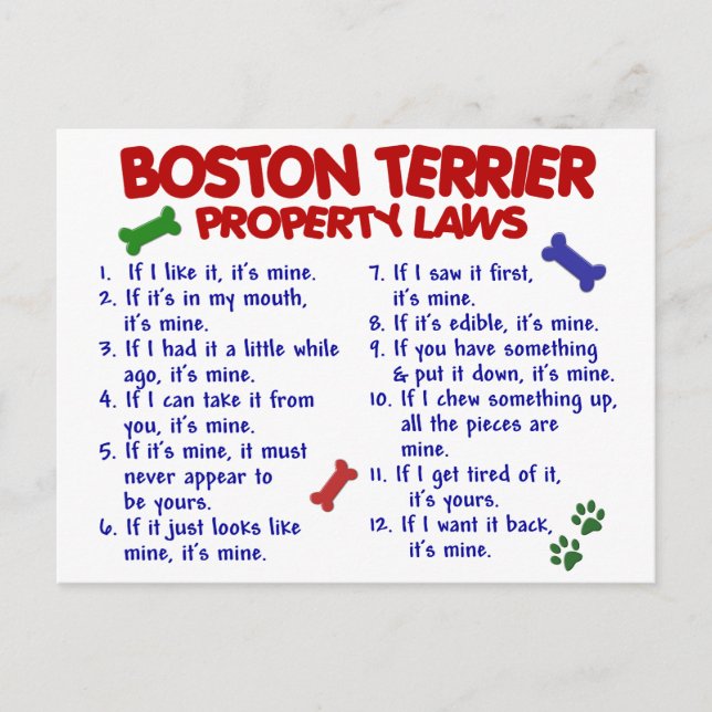Boston Terrier Property Laws 2 Postkarte (Vorderseite)