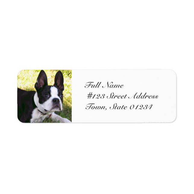 Boston Terrier Pup Mailing Labels (Vorne)