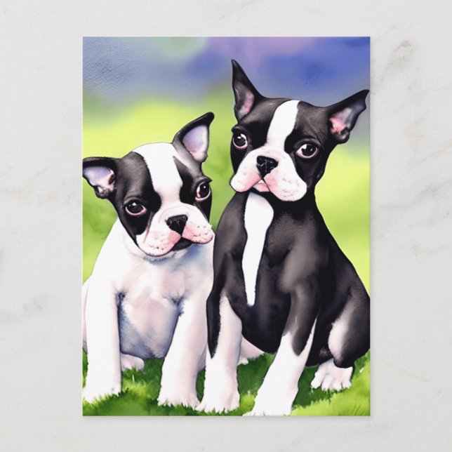 Boston Terrier Puppies Watercolor Postkarte (Vorderseite)