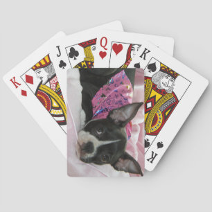 Boston Terrier Puppy Dog Spielkarten