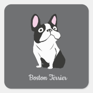 Boston Terrier Quadratischer Aufkleber