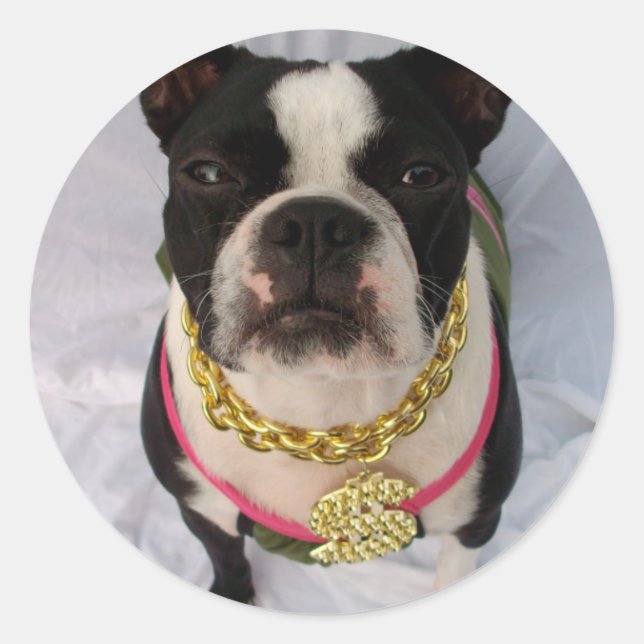 Boston Terrier Rapper Runder Aufkleber (Vorderseite)