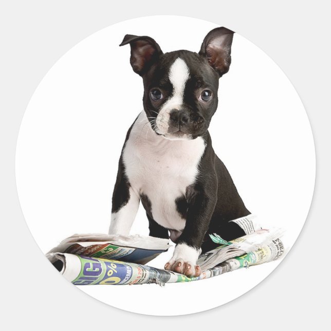 BOSTON TERRIER RUNDER AUFKLEBER (Vorderseite)