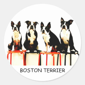 BOSTON TERRIER RUNDER AUFKLEBER
