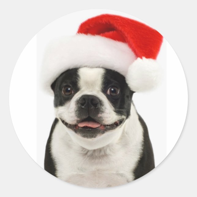 Boston Terrier Santa Sticker (Vorderseite)