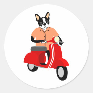 Boston Terrier Scooter Runder Aufkleber