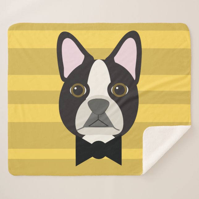 Boston Terrier Sherpadecke (Vorderseite (Horizontal))