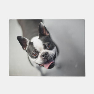 Boston Terrier sieht nach Hause Fußmatte