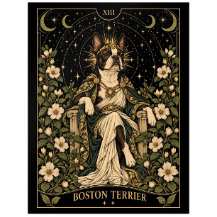 Boston Terrier, Sternen-Tarot-Kunst Postkarte