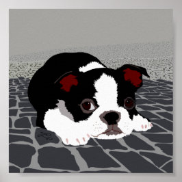 Boston Terrier Stone Paving Wall Art Poster