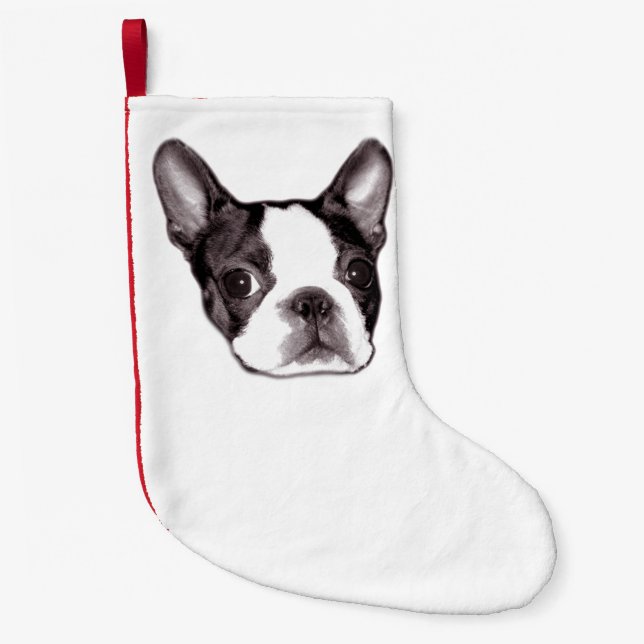 Boston-Terrier-Strumpf Kleiner Weihnachtsstrumpf (Vorderseite)