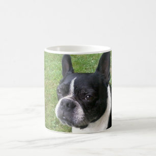Boston-Terrier-Tasse Kaffeetasse