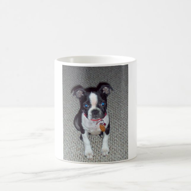 Boston-Terrier-Tasse Kaffeetasse (Mittel)