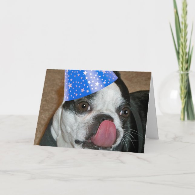 Boston Terrier Tongue Happy Birthday Card Karte (Vorderseite)