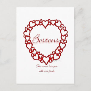 Boston Terrier True Love Postkarte