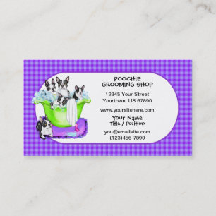 Boston Terrier Tub Carte de visite complet