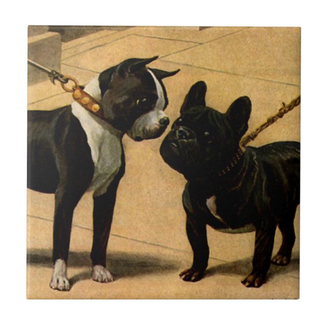 Boston Terrier und französische Bulldogge Fliese (Vorderseite)