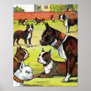 Boston-Terrier und Welpen-Vintage Illustration Poster