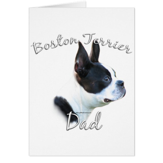 Boston Terrier Vater 2 (Vorne)