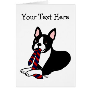 Boston-Terrier-Vati mit Krawatte 2