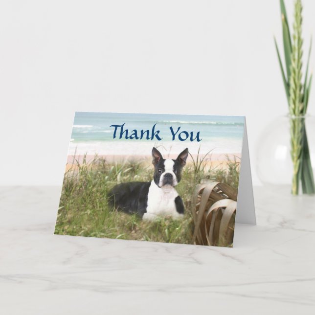 Boston Terrier Vielen Dank für Ihre Card Beachgras Dankeskarte (Vorderseite)