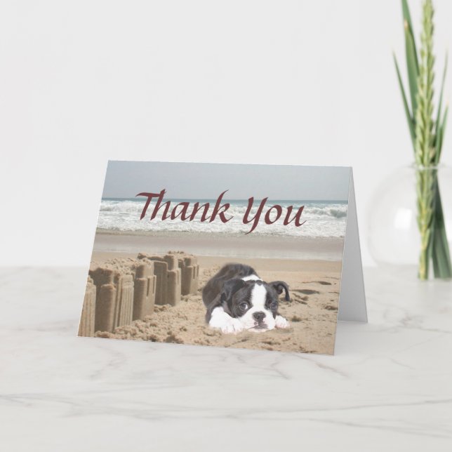 Boston Terrier Vielen Dank für Ihre Card Sandcasts Dankeskarte (Vorderseite)