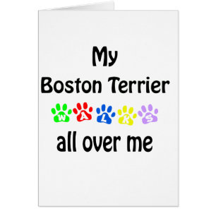 Boston Terrier Walks Design