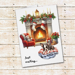 Boston Terrier wartet auf Weihnachten
