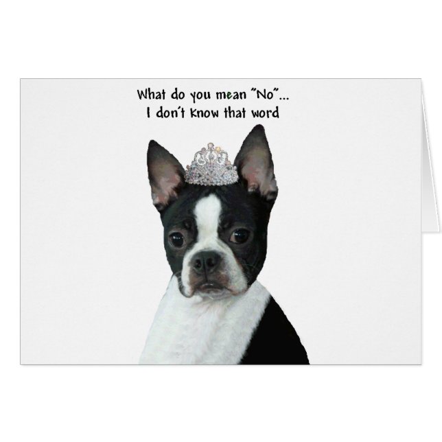 Boston Terrier: Was Gemein du "Nein"? (Vorderseite (Horizontal))