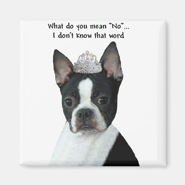 Boston Terrier: Was Gemein du "Nein"? Magnet (Vorne)