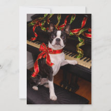 Boston Terrier Weihnachtskarte – Festliche Feierta