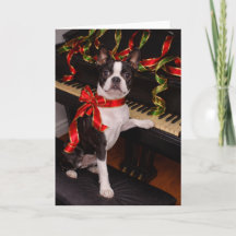 Boston Terrier Weihnachtskarte – Festliche Feierta