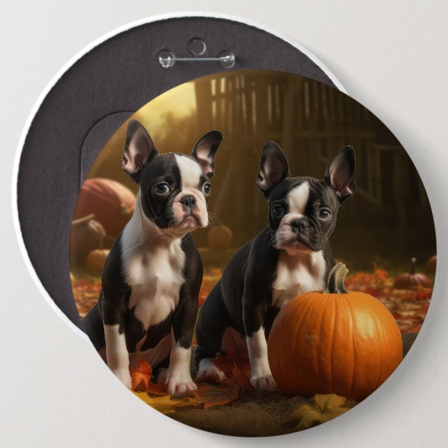 Boston Terrier Welpe Autumn Delight Pumpkin Button (Vorne & Hinten)