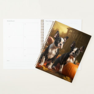 Boston Terrier Welpe Autumn Delight Pumpkin Planer