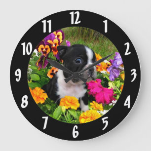 Boston Terrier Welpe Große Wanduhr
