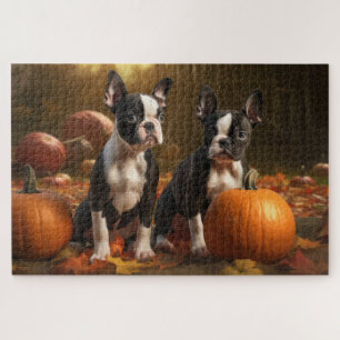 Boston Terrier Welpe Herbstfreude Kürbis